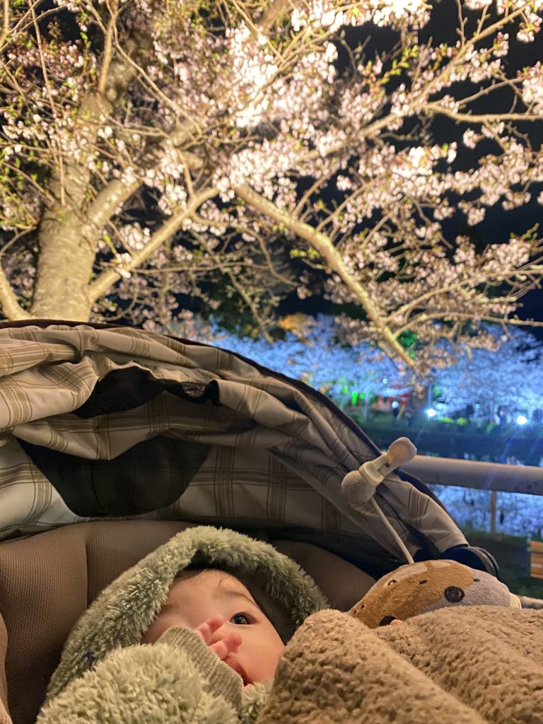 🌸お花見🚗
