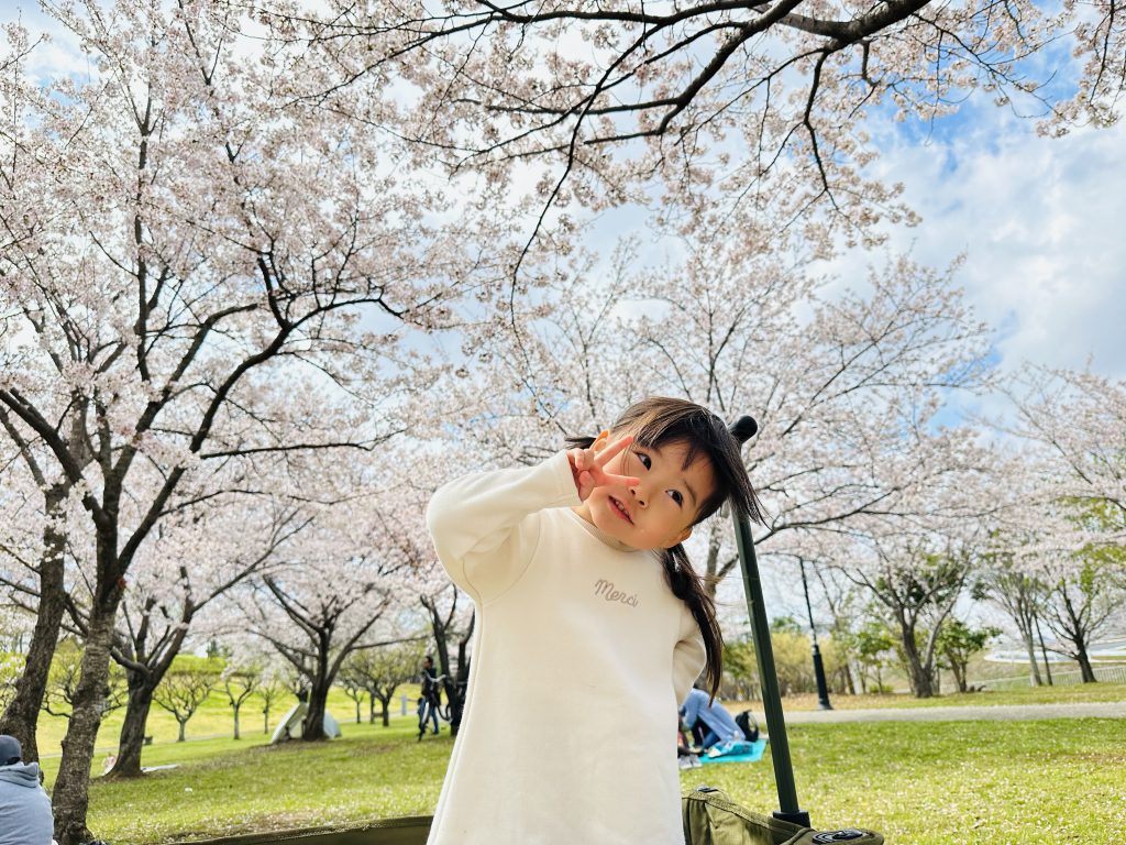 それぞれの桜🌸✨