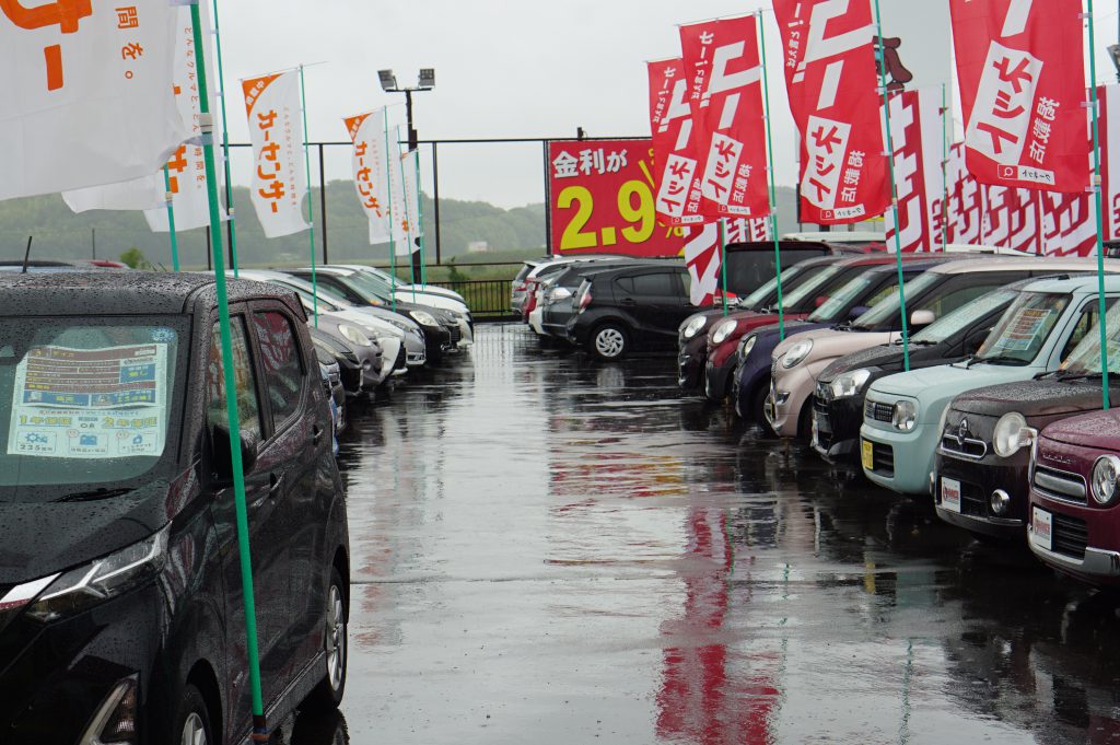 朝から雨☔