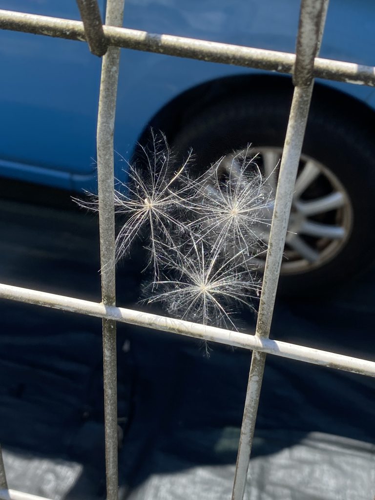 ✨ご家族みんなで🚗