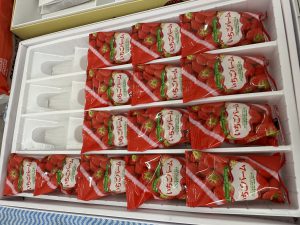 イチゴが有名なところに行きました😊