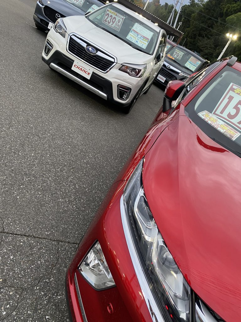 初めて見る車達