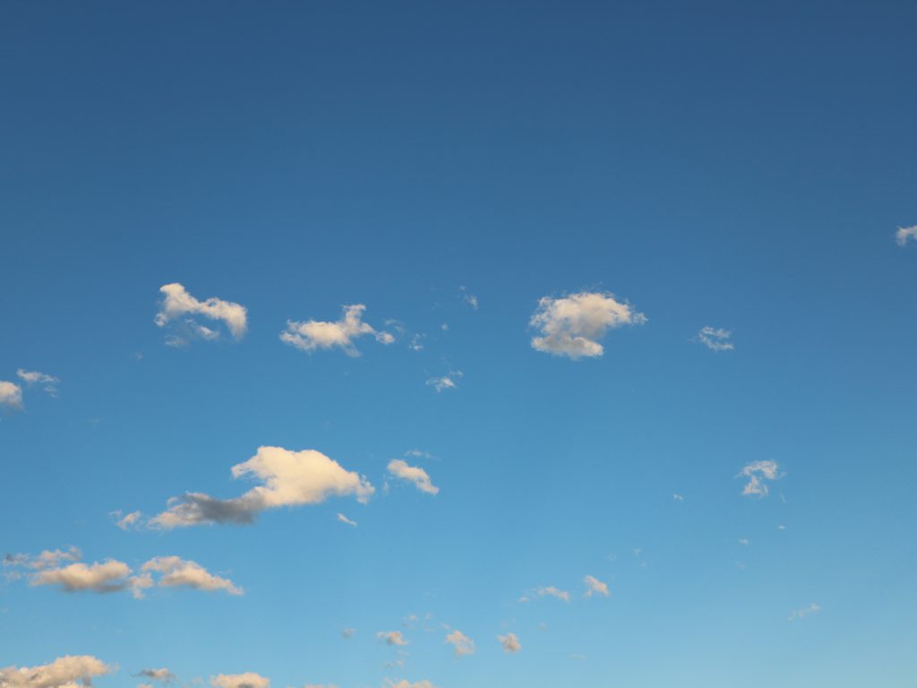 忙しい天気🌦️