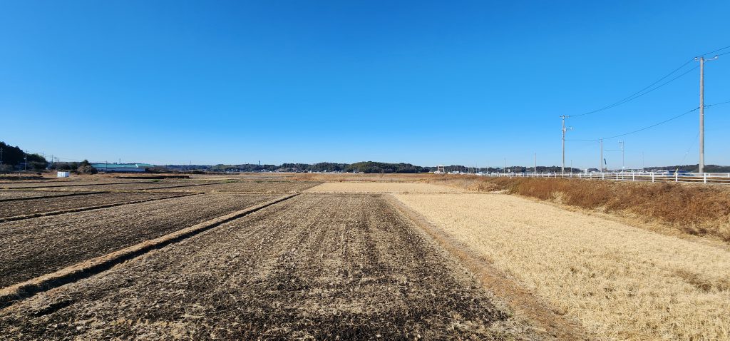 もう折り返しですって！？