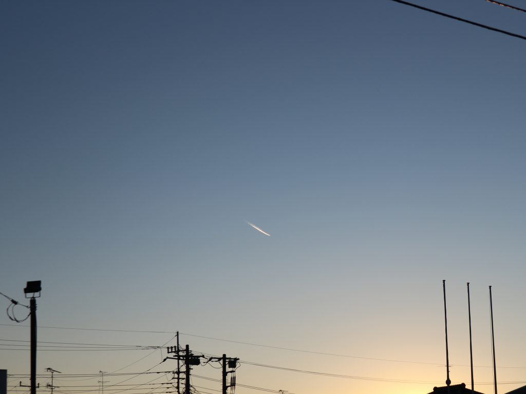 成人の日