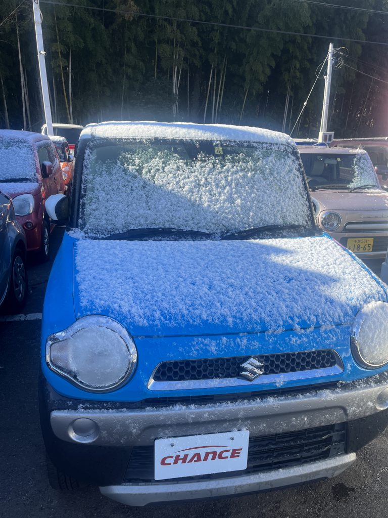 ❄️❄️❄️千葉にも〜