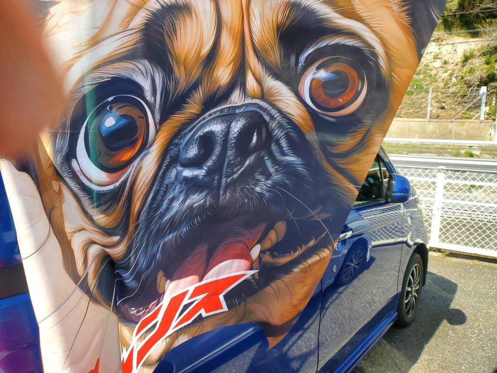 3月ラスト🐶
