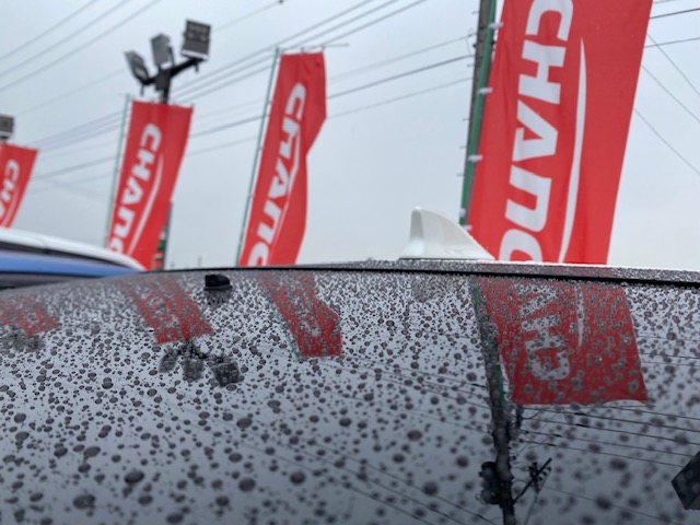 今年雨多くありません？？