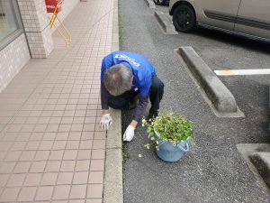 キレイになりました🌱