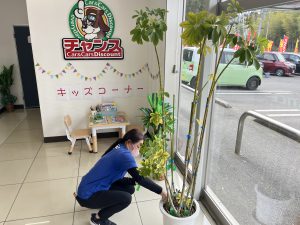 栄養栄養🌳