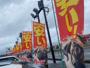 悪天候は今日まで！！