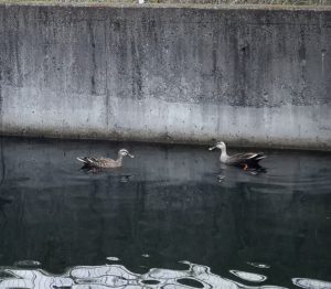 ☆今年もほっこり☆