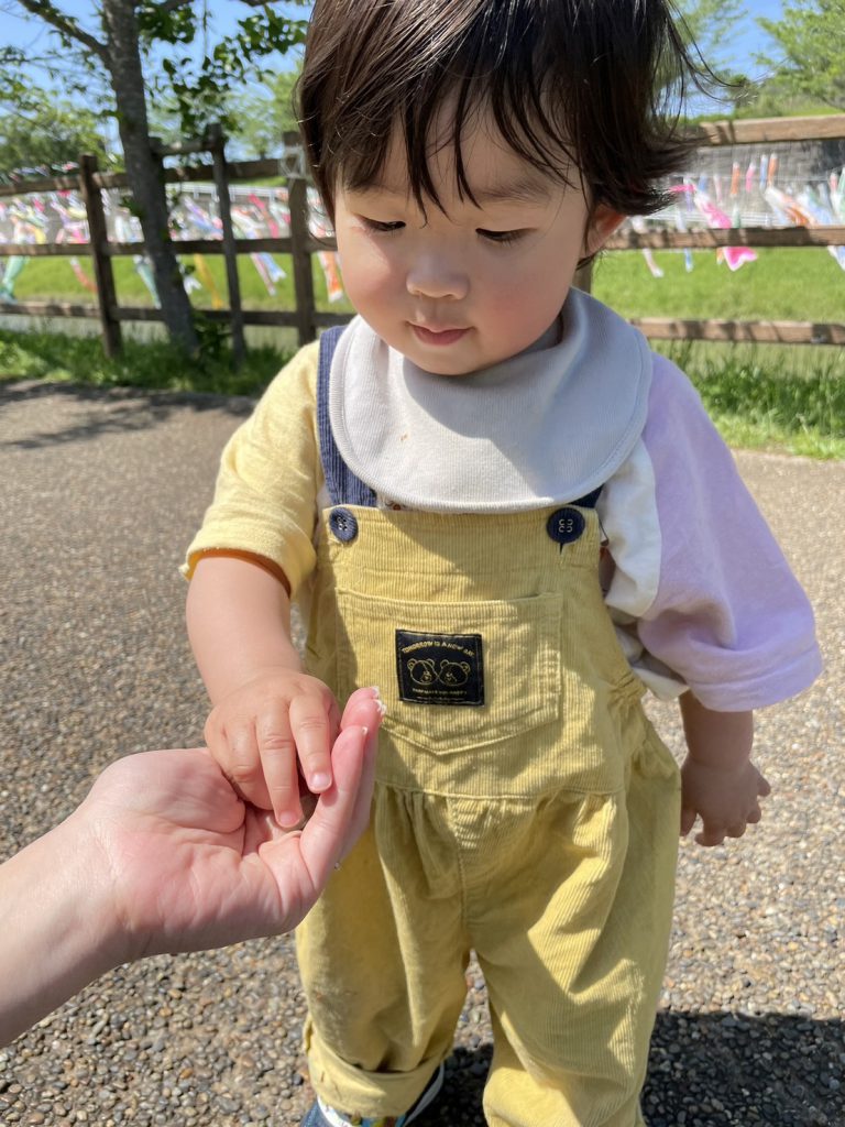 ピクニック日和