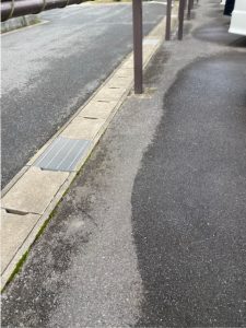草取り！