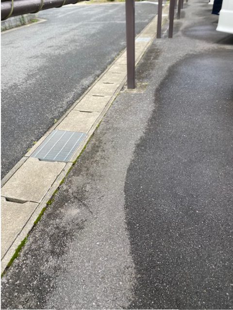 草取り！