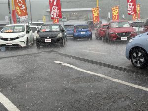 台風みたいな🌬