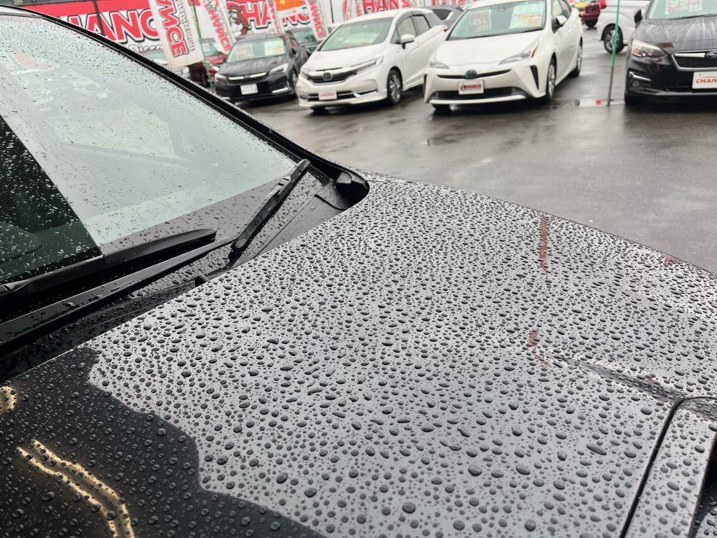 雨だからこそ！！
