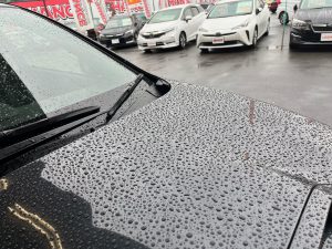 雨だからこそ！！