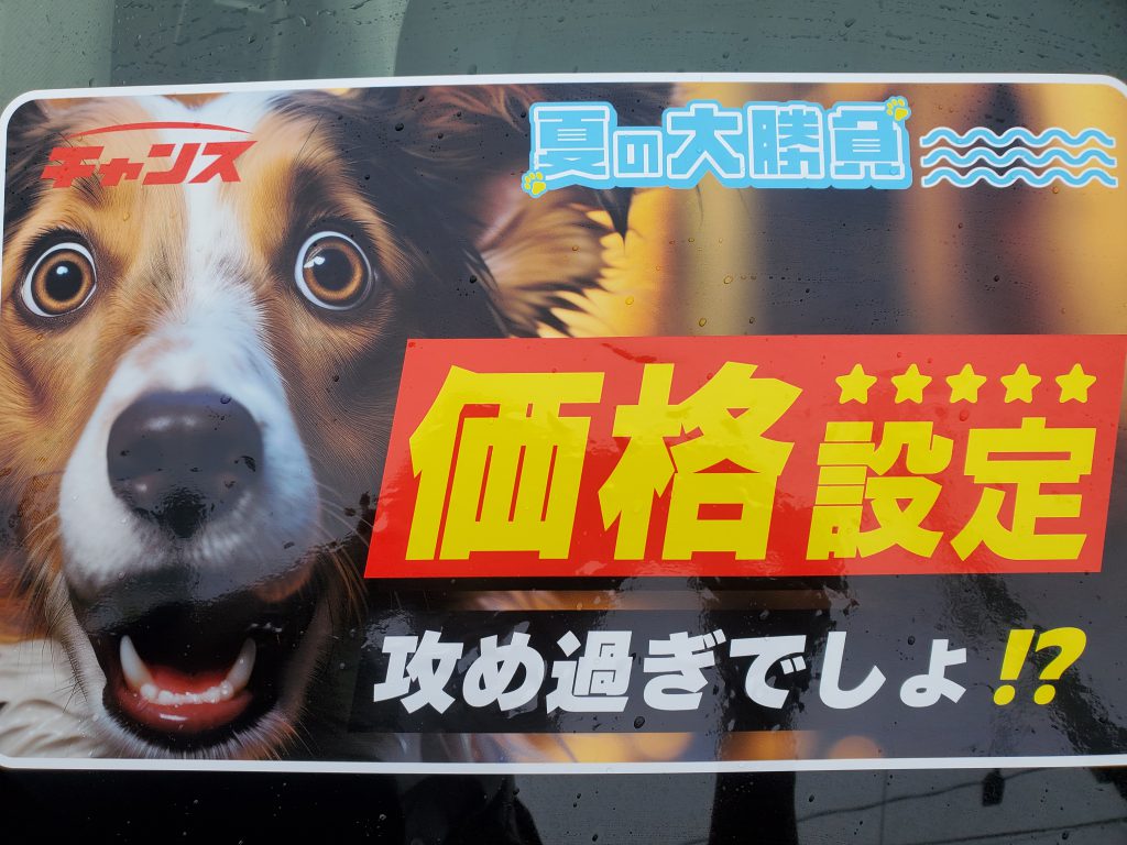 🎇夏の大勝負🎇