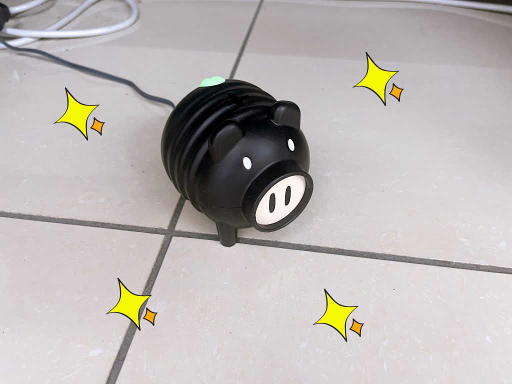 お初にお👀に掛かります〜✨