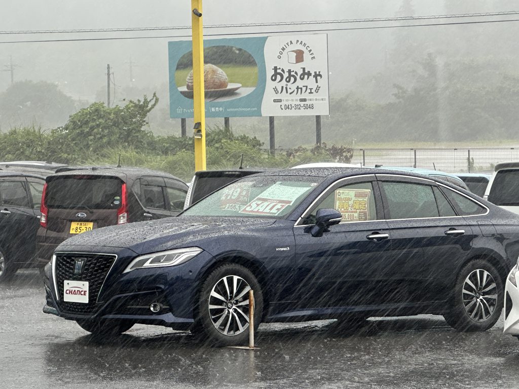 水も滴るいいクラウン