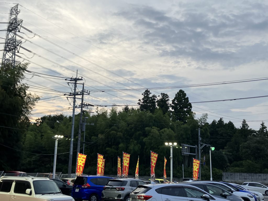 昼間を有効的に！🔆