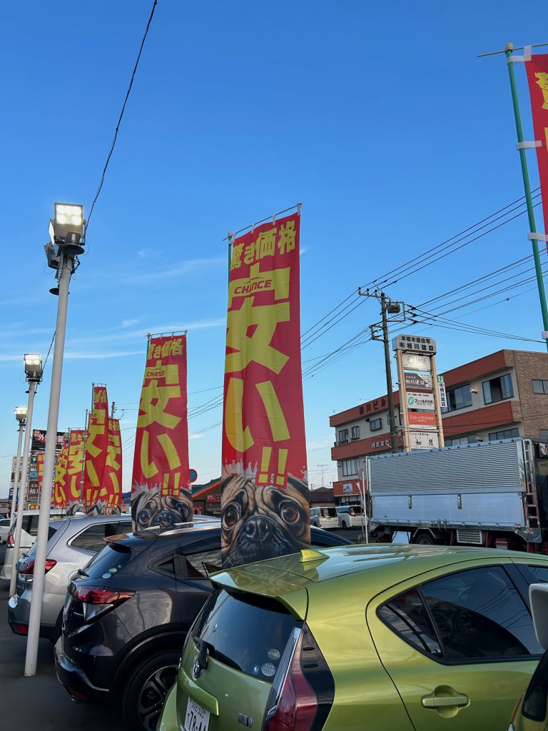ちょっと段違い