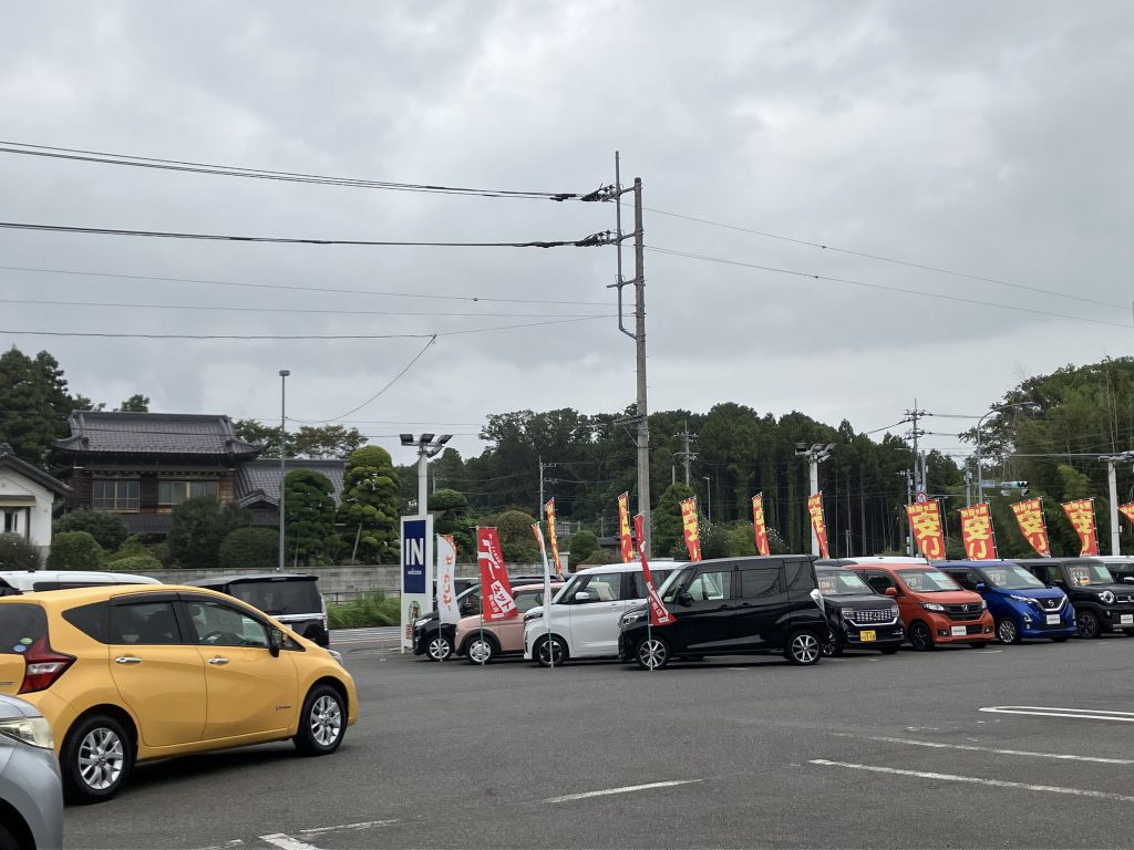 入庫、増車中✨