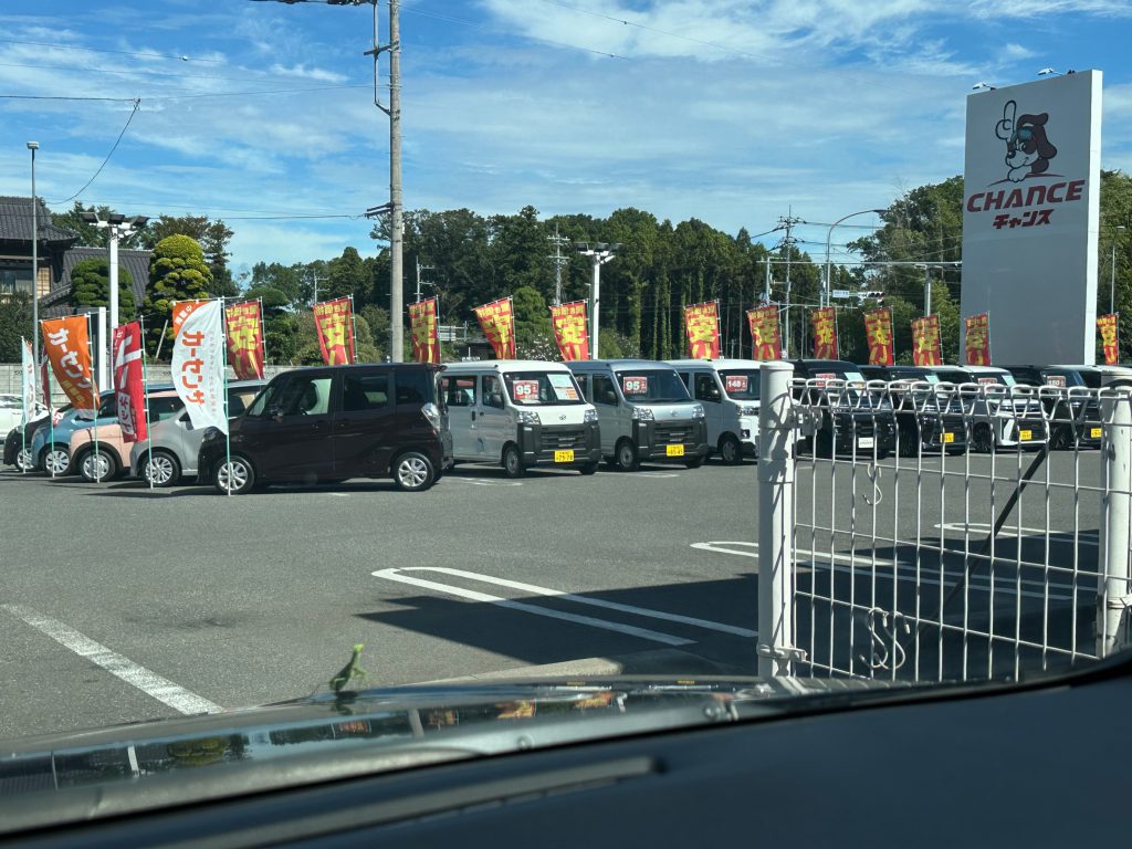 自然の体幹を体感