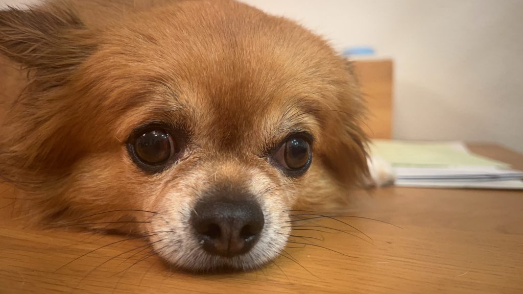 日曜日✨✨