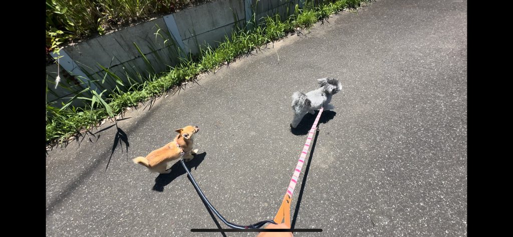 犬のきもち
