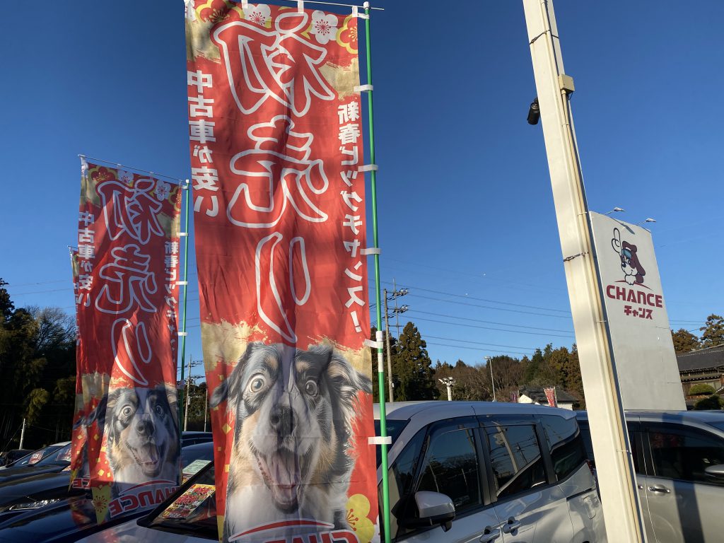 新年