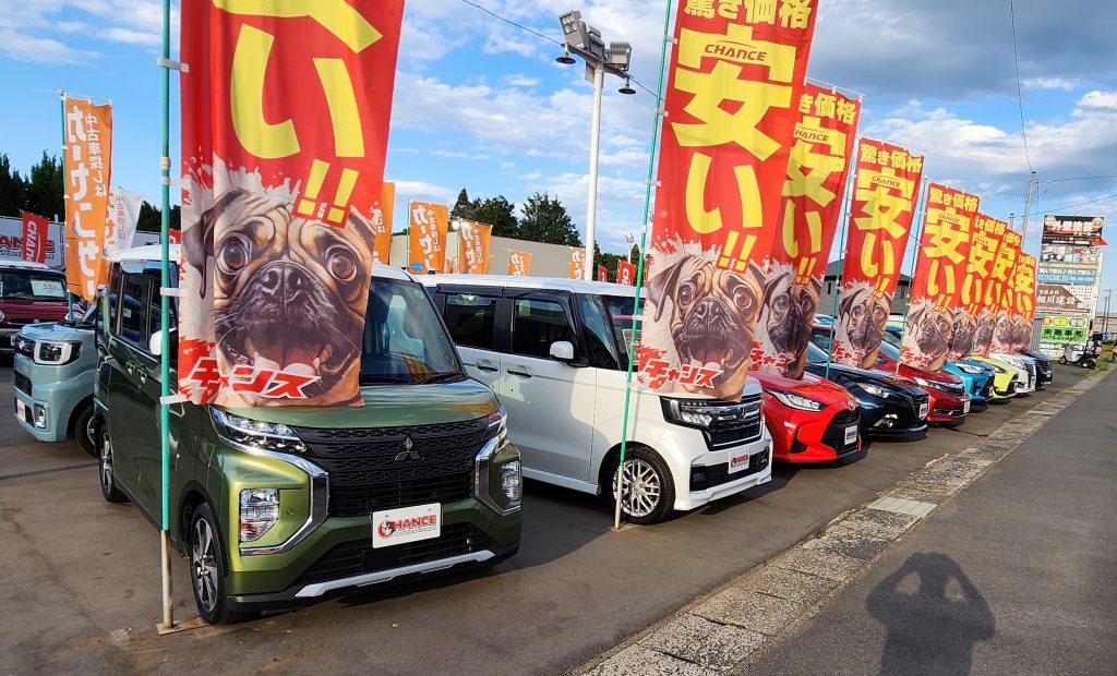 とてもカラフル！