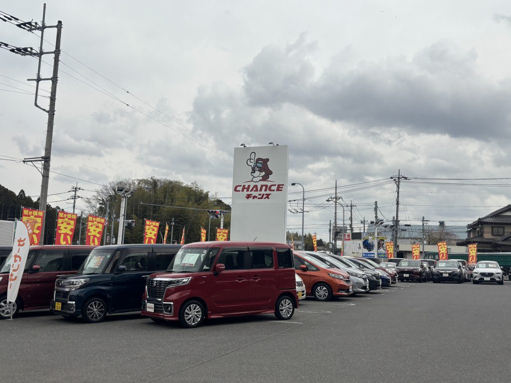 明日は祝日！新入庫車が続々登場中！🚗✨