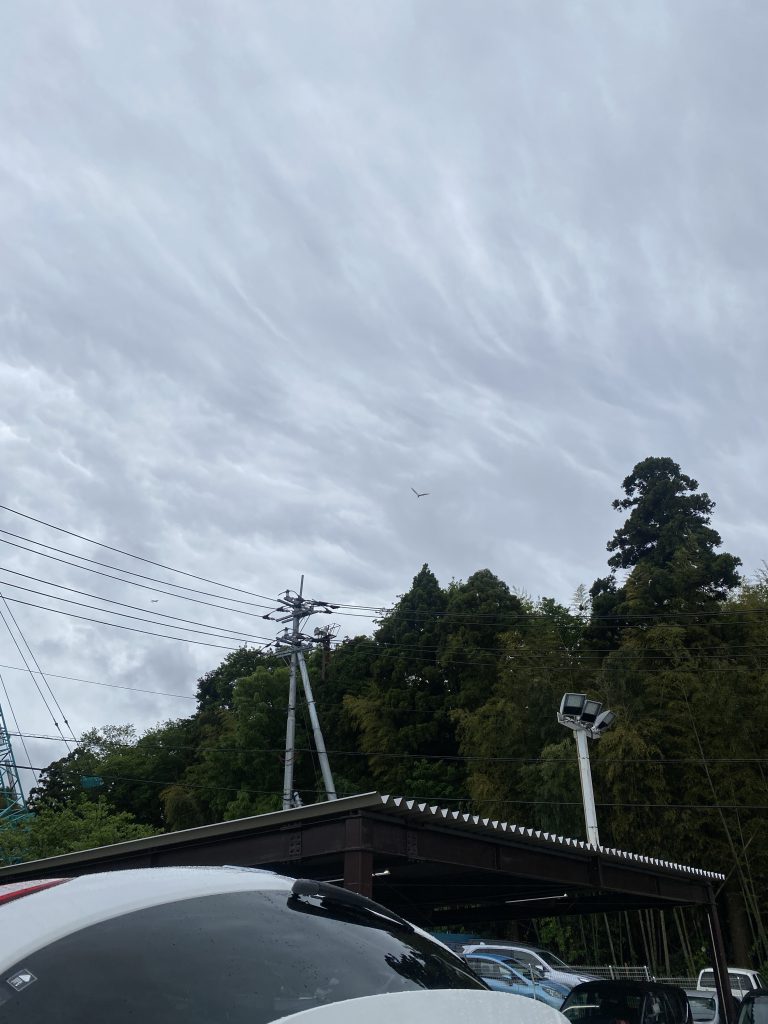 幸せを運ぶ◯い鳥