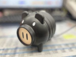 今年も🐽頼みます‼️