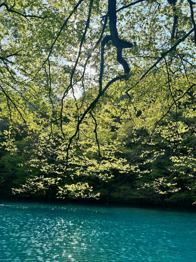 土砂降りとはまさにこの事