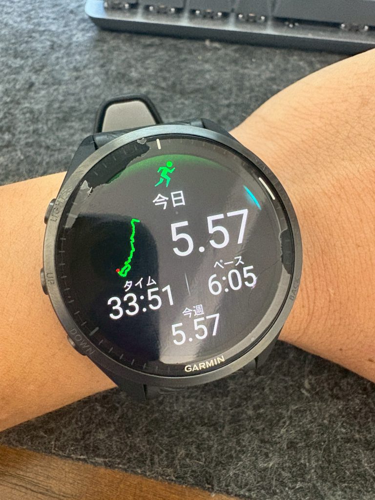 夏ですね！