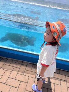 🐋推し活🌊