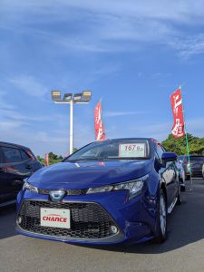 🌟新入荷🌟