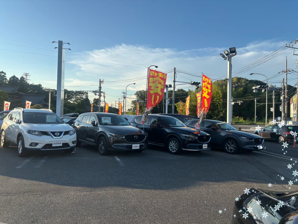 お得感✨