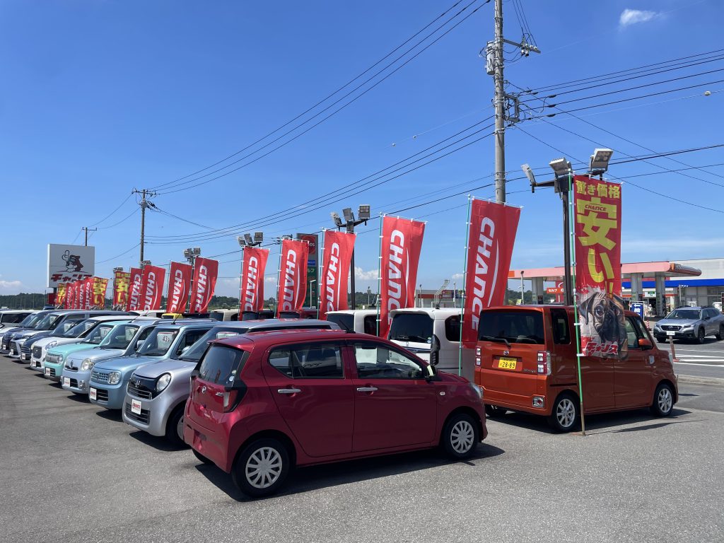 新品の旗！
