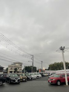 ☆ゴロゴロしてます☆