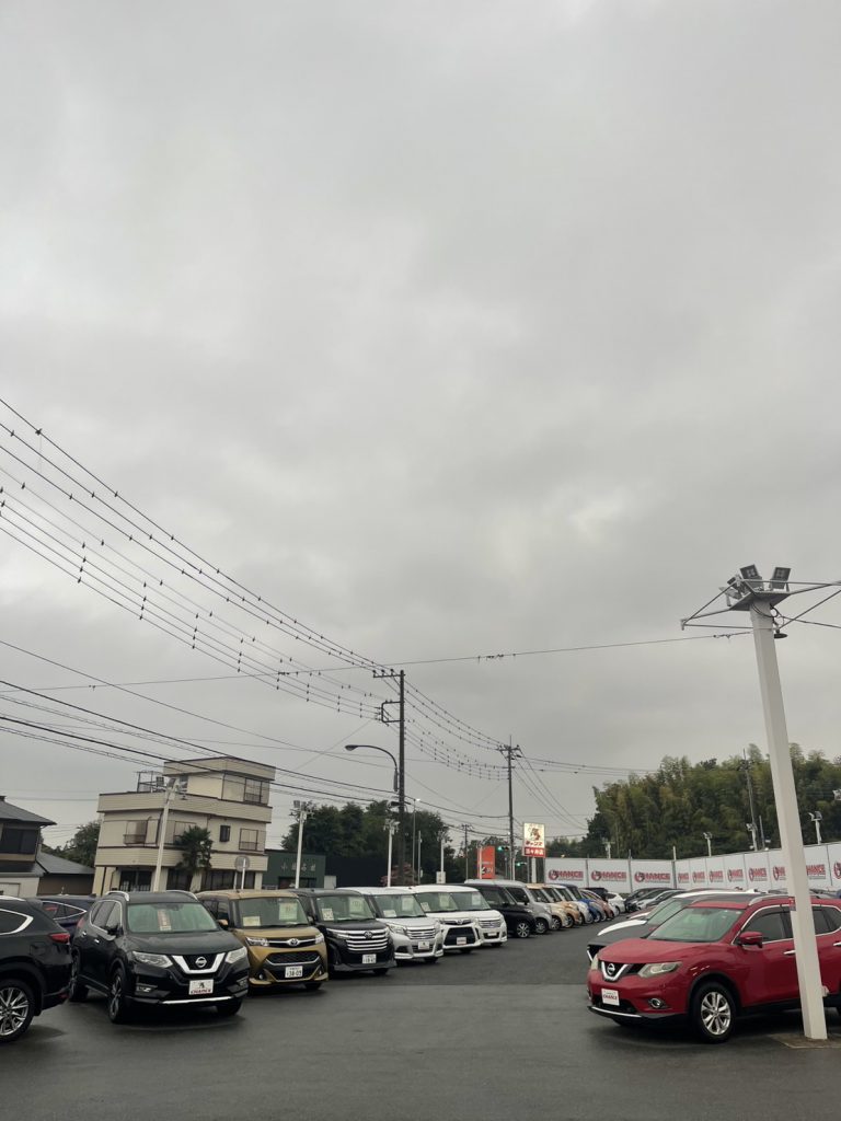 ☆ゴロゴロしてます☆