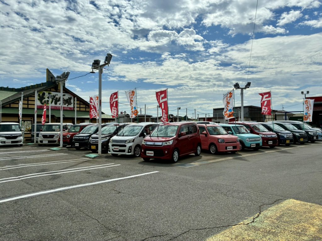 新規在庫車もりだくさん！
