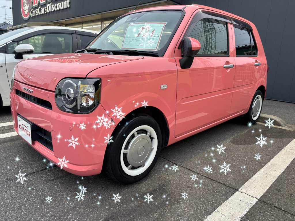 本日も入庫✨しました。