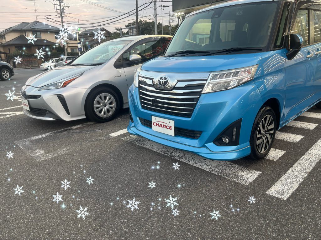 入庫車、増えてます。✨