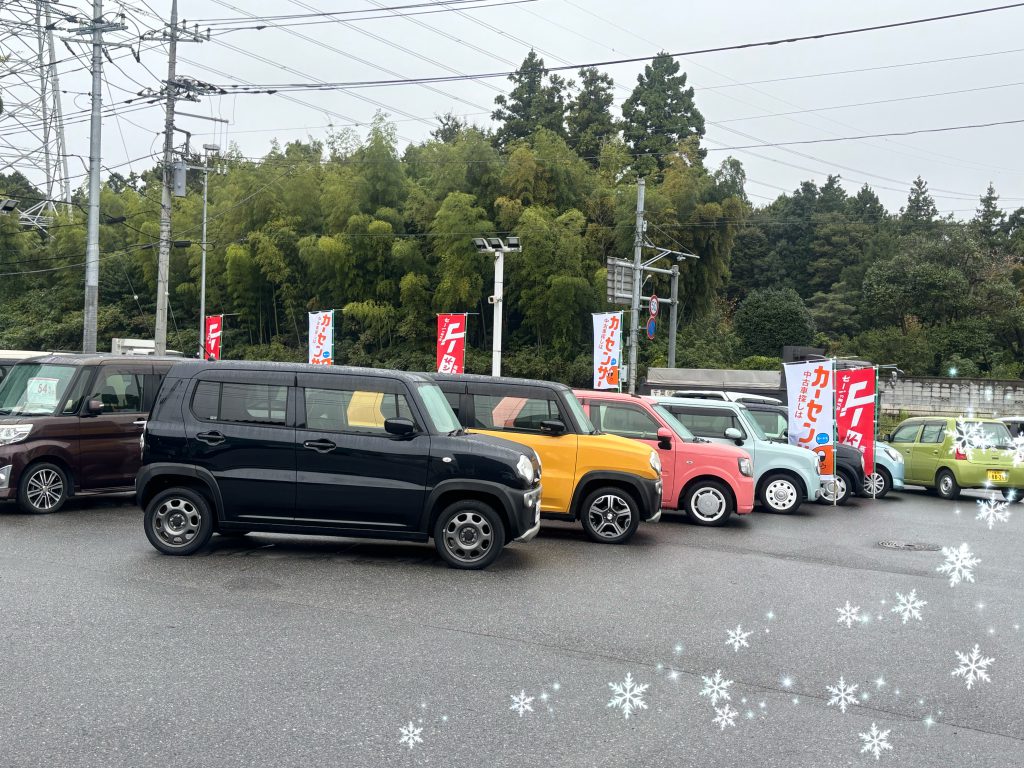 復帰✨です。