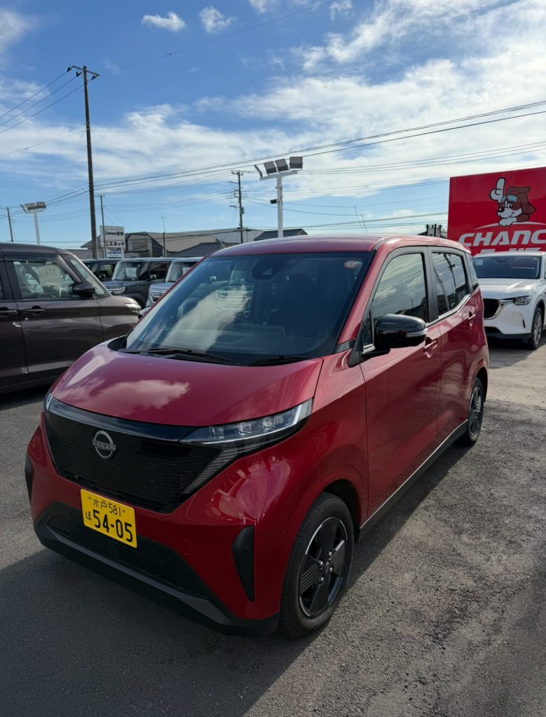 サクラ🌸
