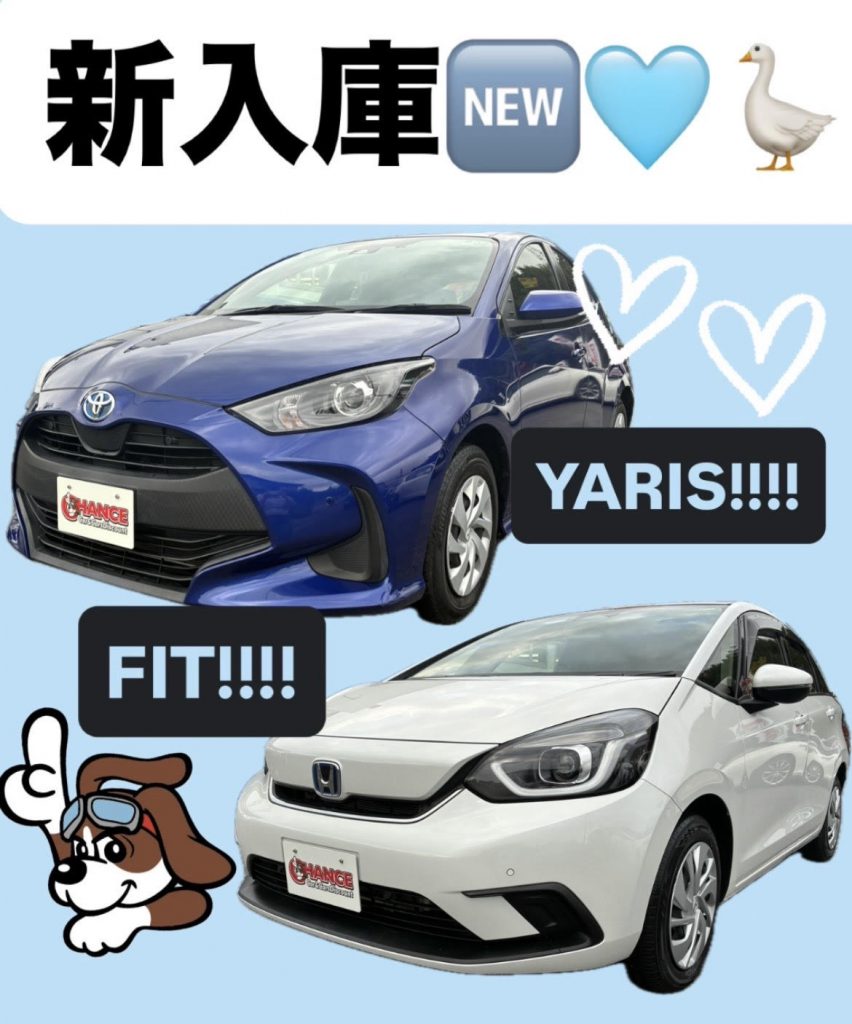ハイブリッド‼‼🐥佐原店